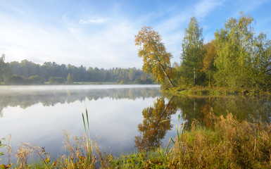 Autumn landscape