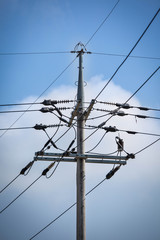 electric cables and tower in blue sky