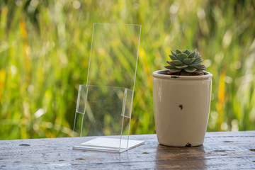 Acrylic brochure and card holder for events net to a vintage flower pot. Transparent object with green garden background.