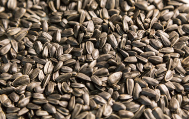 Toasted sunflower seeds