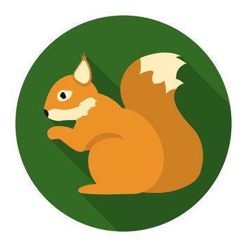 Squirrel Vector Icon In Flat Style For Web