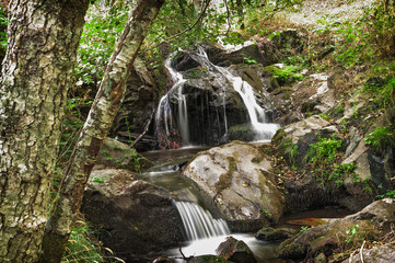 cascada,agua corriente,montaña,castañar,