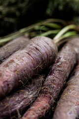 Bunch of purple carrot