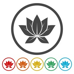 Lotus flower icon, logo. Isolated on white background. Vector illustration