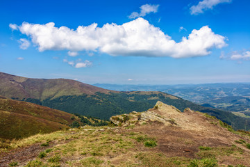 hill side meadow in summer