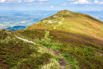 Fototapeta premium road through a meadow on hillside
