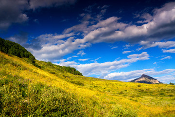 Obraz premium Mountain Meadows