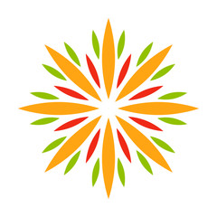 Festive firework bursting shape firework pictograms isolated. Firework abstract vector isolated illustration and party fun firework celebration holiday vector sign. Firework show isolated