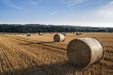 Beautiful countryside landscape image of hay bales in Summer fie