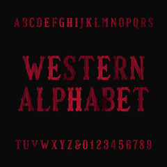 Western vintage alphabet font. Distressed serif letters and numbers. Retro vector typography for your design.