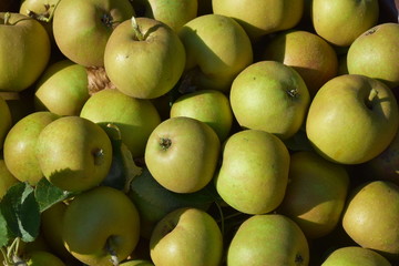 Äpfel als Hintergrund