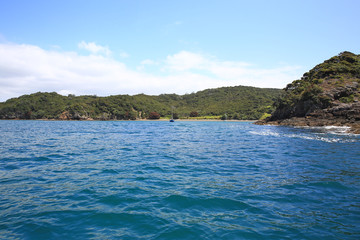 Naklejka premium Whitianga Harbor, Whitianga, Coromandel Peninsula, NZ