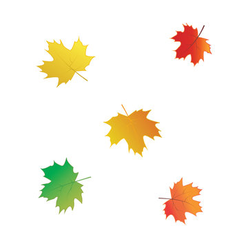 colorful autumn leaves isolated on white background abstract art vector elements for design