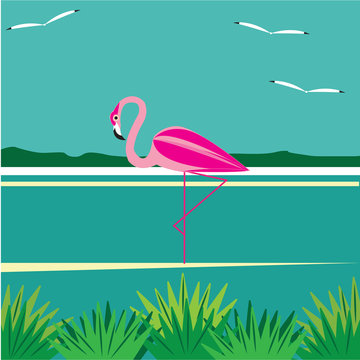 pink flamingo seagull seascape shore abstract art illustration creative modern flat style vector