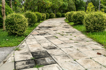 Concrete Pathway in garden