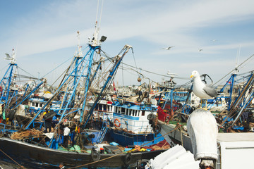 Essaouira Harbor