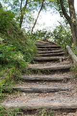 Fototapeta na wymiar Nature path with steps in serene forest