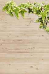 wood leaf texture