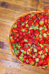 Lot of strawberries on the table in basket. View from above.