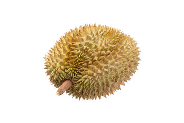 yellow ripe durian isolated on white background