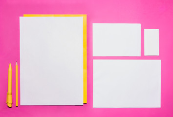 Mock-up business template with cards, papers, pen. Pink background.