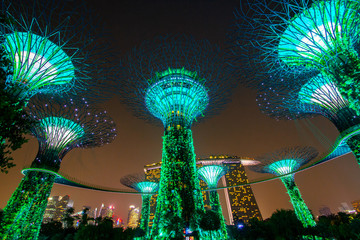 Nightview of The Supertree Grove at Gardens by the Bay