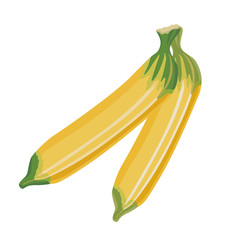 two banana vector illustration style Flat 