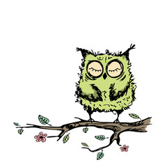 Cute owl sitting on a branch of a tree,isolated on white backgro