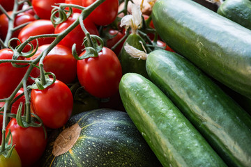 tasty vegatables