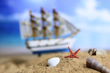 sand shell and sail in sea