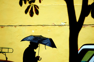 Man  with  umbrella
