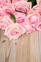 Pink blooming roses on wood with copy space