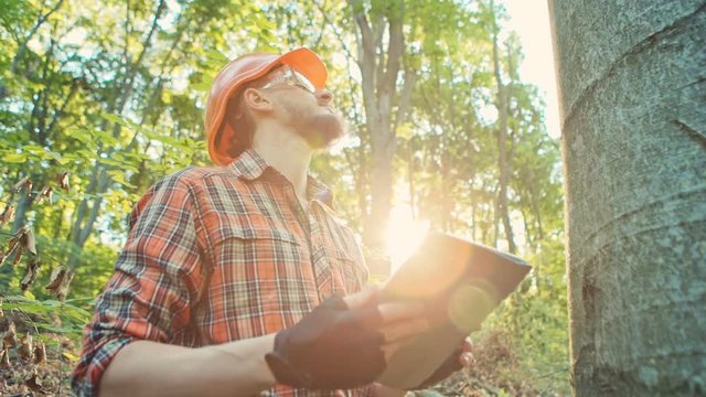 Forestry worker with digital tablet checking trees