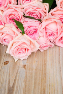 Pink blooming roses on wood with copy space