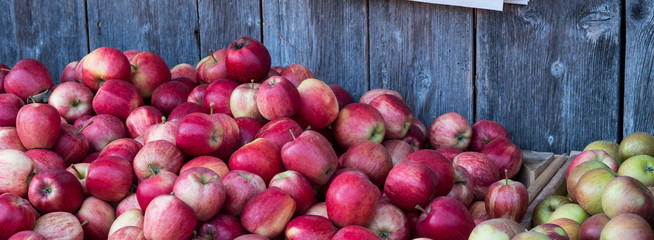 Äpfel auf dem Markt