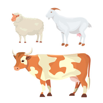 milk animals isolated set
