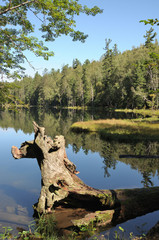 Fototapeta na wymiar In the clear water of a forest lake reflects the sky, mountain, forest and clouds. Photo partially tinted. 