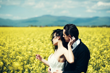 wedding couple in field yellow flowers