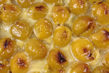 tarte aux mirabelles 25092016