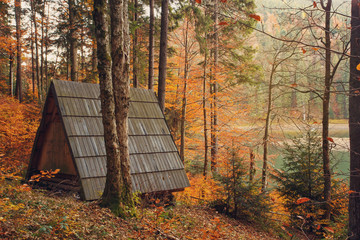 Wooden house gazebo forest