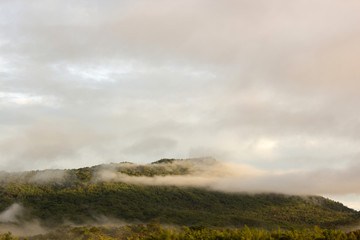 Obraz na płótnie Canvas green mountain and fog with morning light