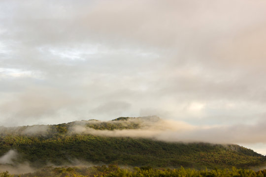 green mountain and fog with morning light