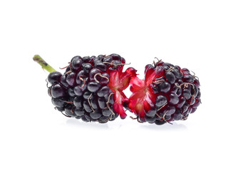 Mulberry isolated on white background