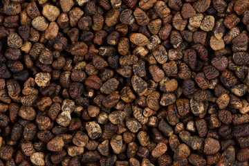 Decorticated cardamom seeds