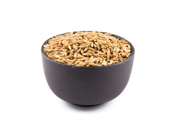 bowl of organic oat grains