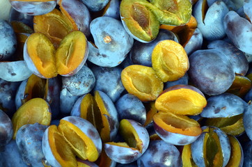 Halbierte Zwetschgen