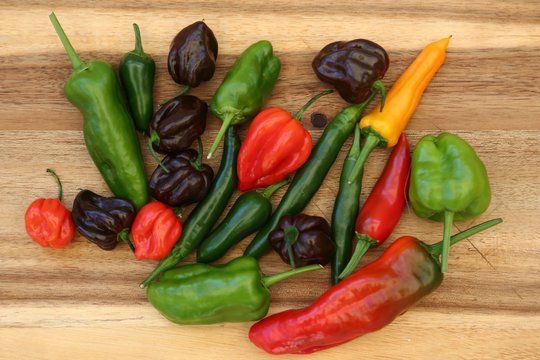  a colorful mix of the hottest chili on wood background