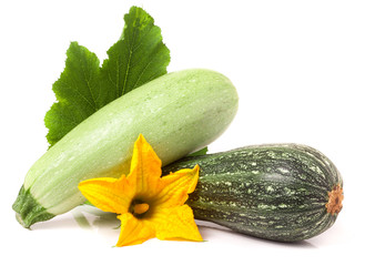 zucchini and squash with leaf  flower isolated on white background