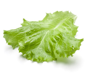 Fresh lettuce salad leaf isolated on white background cutout