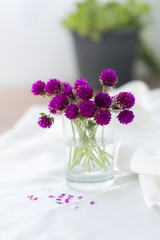Composition of small, delicate flowers, beautifully laid out on